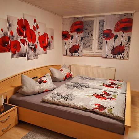 Ferienwohnung Im Erzgebirge Нойгаузен Екстер'єр фото
